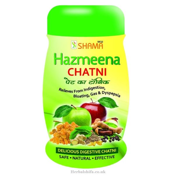 Hazmeena Chatni by New Shama