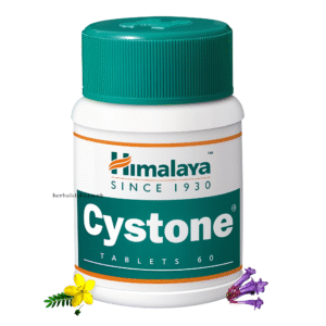 Cystone Tablets by Himalaya